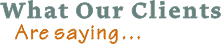 What our clients are saying